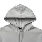 Lacoste Hoodie (1)